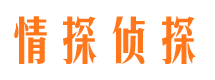 崇川背景调查